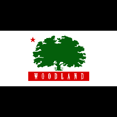 City of Woodland
